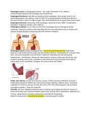 Esophageal disorders.docx - Esophageal cancer: esophagogastrostomy ...