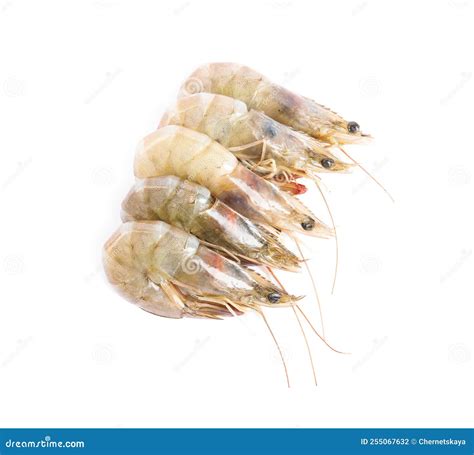 Fresh Raw Shrimps On White Top View Healthy Seafood Stock Photo