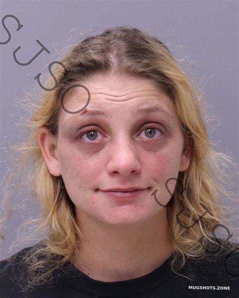 Lantinen Stephanie Rae St Johns County Mugshots Zone