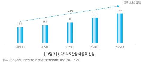 “디지털 헬스케어 시장 왜 Uae 인가” 헬스코리아뉴스