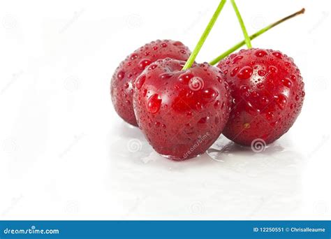 3 Cherries On White Stock Image Image Of Fresh Ripe 12250551