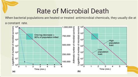 Physical And Chemical Methods Of Microbial Growth Control Youtube