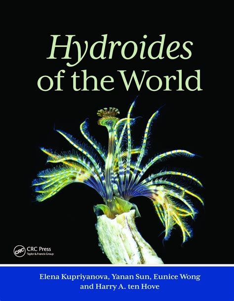 Hydroides Of The World Veldshopnl