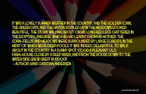 Top 28 Beautiful Long Legs Quotes And Sayings