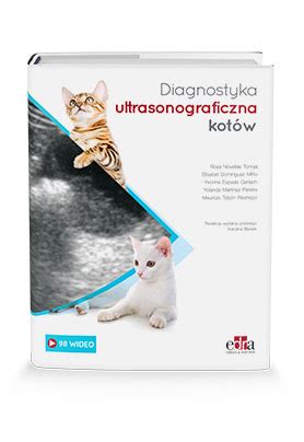 Diagnostyka ultrasonograficzna kotów