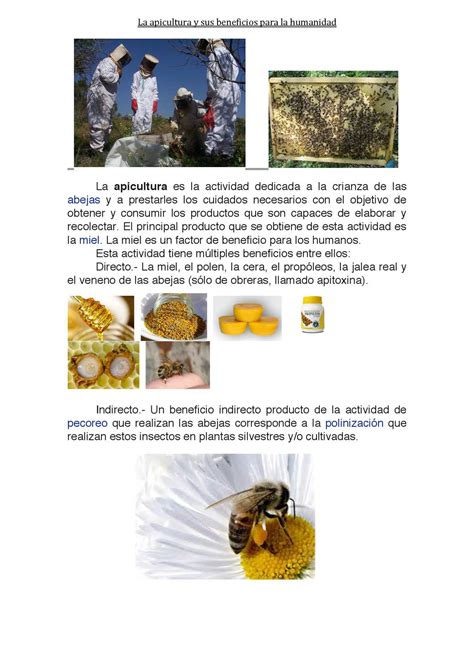 Beneficios Más Importantes De Las Abejas En La Agricultura Abejas