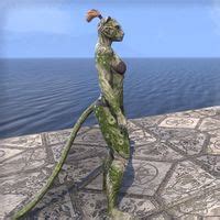 Online Barkroot Blessing The Unofficial Elder Scrolls Pages UESP