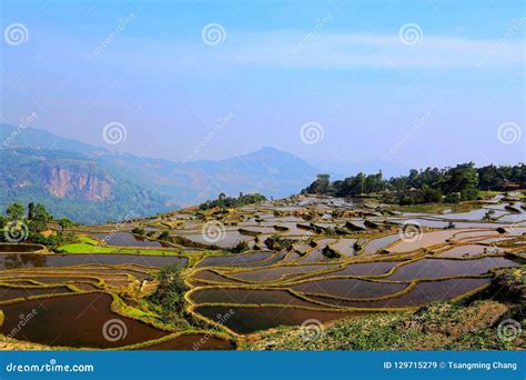 Yuenyang Hani Terrace In Yunnan China Stock Image Image Of Field