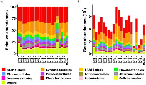 Frontiers Patterns Of Relative And Quantitative Abundances Of Marine