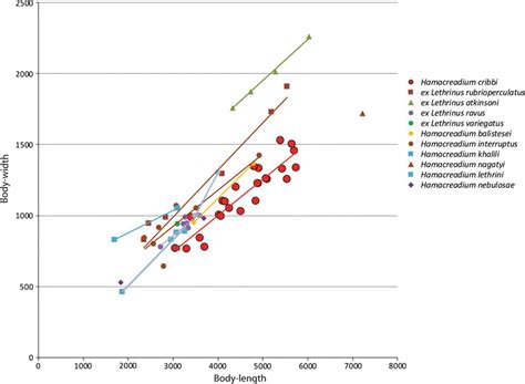 Graph Showing Body Width Plotted Against Body Length Of Hamacreadium