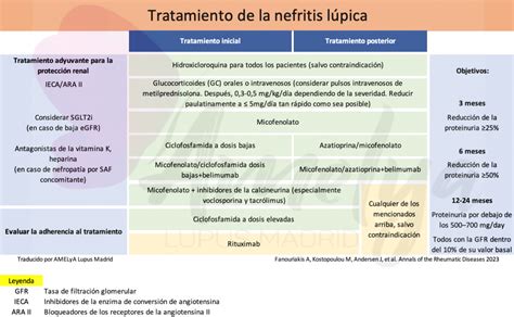 Recomendaciones Eular Para El Manejo Del Lupus Eritematoso Sist Mico