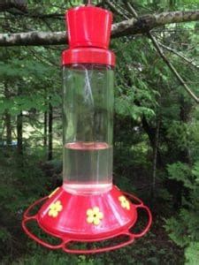 How to Keep Ants Out of Your Hummingbird Feeder – The Cottage Wife