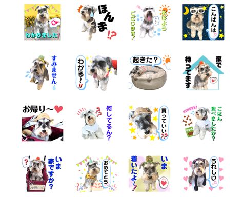 世界に1つ！愛犬の写真をラインスタンプに♪最低販売価格で16個も作れる！格安でも丁寧キレイ！ 関西＠わんこー関西で犬と一緒にお出かけできる