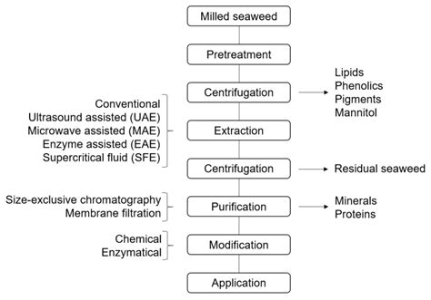 Molecules Free Full Text Extraction And Modification Of Macroalgal Polysaccharides For