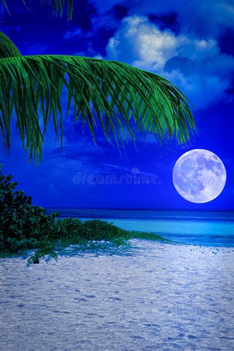 Tropical Beach At Night With A Full Moon Stock Photos Image 32318353