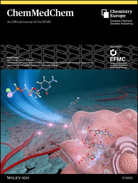 Machine Learning Guided Discovery Of Non‐hemolytic Membrane Disruptive