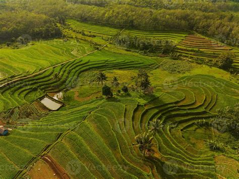 Aerial view of green rice terraces in Indonesia 21588832 Stock Photo at ...