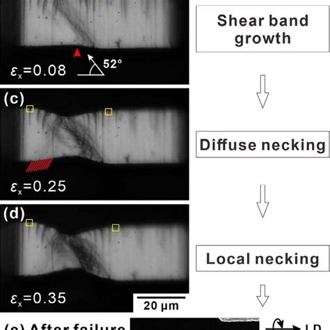 A D Optical Micrographs Showing The Shear Fracture Processes Captured