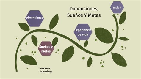 Parte 3 Proyecto de vida dimensiones sueños y metas by Mileidy