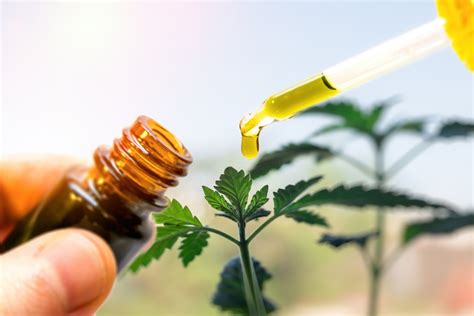 Demystifying The Legality Of Cbd In The United States Cannabiz Depot