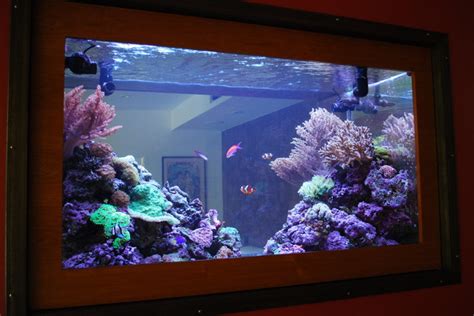 Gallon Living Reef Custom Aquarium Double Sided In Wall