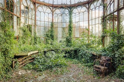 Overgrown Behance