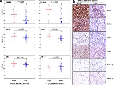 Dlk1 Dio3 Mirna Cluster Positively Correlates With Hcc Specific Stem