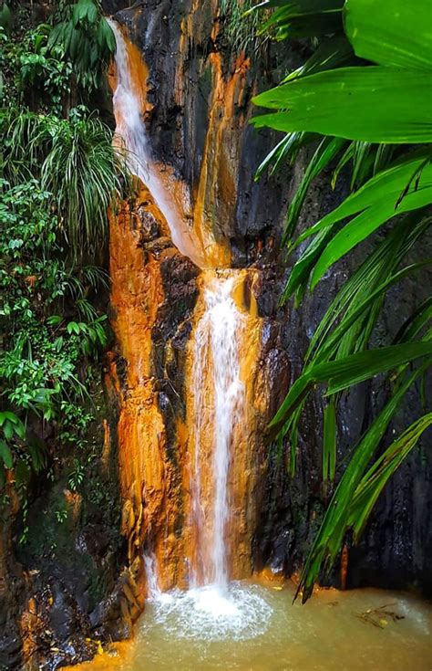 Hike Grenada – More Waterfall Trails