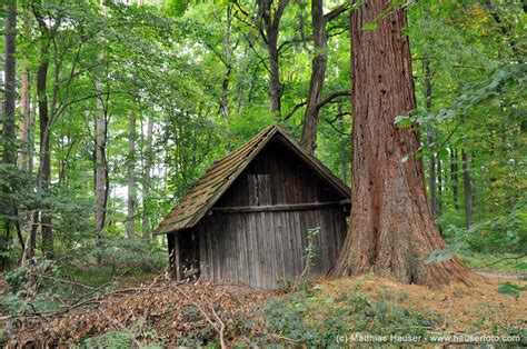 Matthias Hauser Fotografie Local Naturpark Schönbuch Hütte im Wald