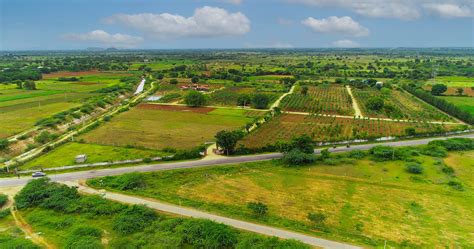 Farm Land Farm Plots For Sale Near Bangalore Hosachiguru