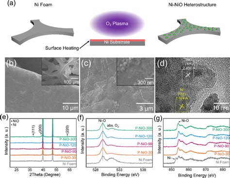 Morphology And Structural Characterization Of Plasma Engineered