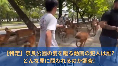 【特定】奈良公園の鹿を蹴る動画の犯人は誰どんな罪に問われるのか調査 Book Hack