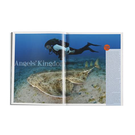 Save Our Seas Magazine Issue 04 Help Save Our Seas