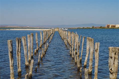 Lake Pomorie, Protected Area, Located on the Via Pontica Bird Migration Route. Bulgarian Lake ...