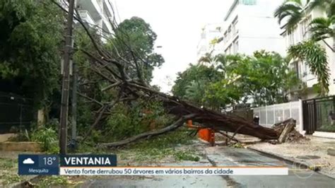 Vídeo Vento forte derrubou 50 árvores em vários bairros da cidade