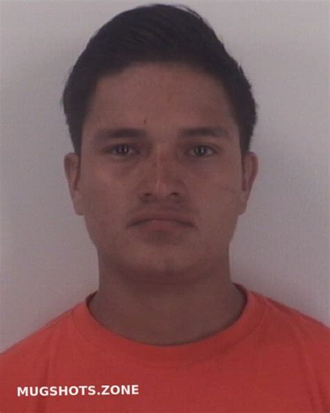 MELGARMEDINA ROLMAN 06 11 2024 Tarrant County Mugshots Zone