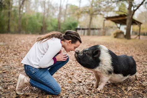 "A Girl And Her Pig." by Stocksy Contributor "Paige Stumbo" - Stocksy