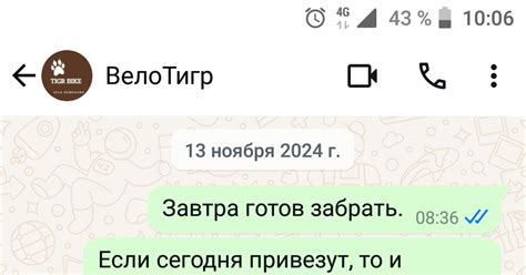 Продолжение поста «Мой veloTigr» | Пикабу