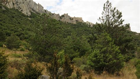 Peyrepertuse Manu Cassar Flickr