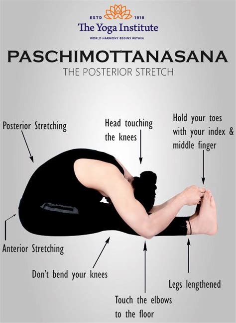 Paschimottanasana Steps