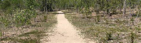 Cedar Bog Trail, Manitoba, Canada - 1,238 Reviews, Map | AllTrails