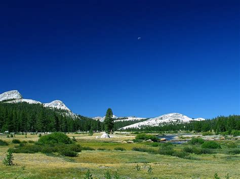 Wiesen Yosemite Tal Kostenloses Foto Auf Pixabay