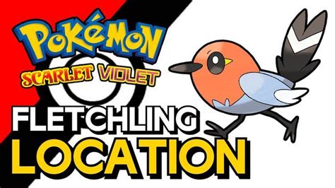 How To Catch And Evolve Fletchling In Pokemon Scarlet Violet In 2023