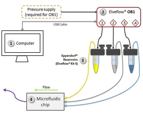 Microfluidic Cardiac Cell Culture Model μcccm Elveflow