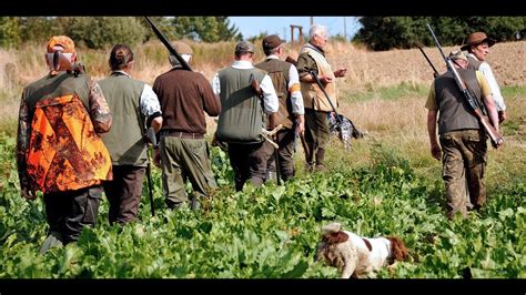 Alcool interdit délit d entrave un rapport du Sénat se range du côté