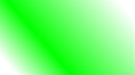 Lime Wallpaper 61 Images