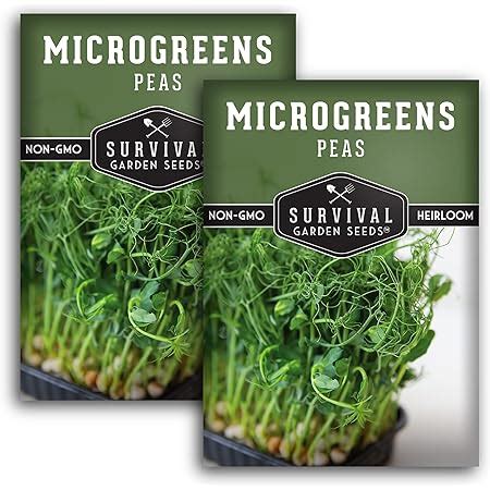 Amazon Survival Garden Seeds Sunflower Microgreens For Sprouting