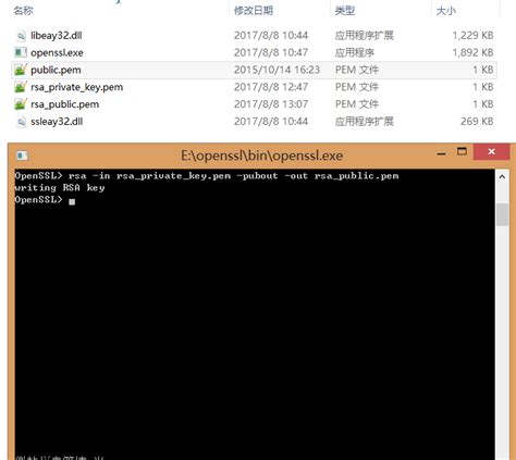 How To Use Openssl To Generate Rsa Public Key And Private Key Pair