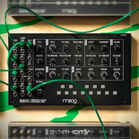 Moog Mavis Semi Modular Analog Synthesizer Kit And Eurorack Reverb