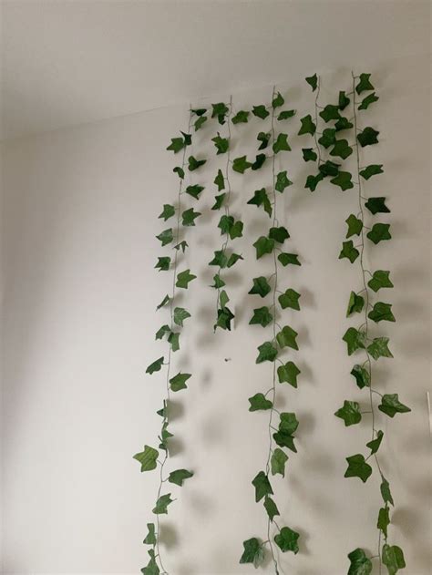 Ivy Growing Up The Side Of A Wall In A Room With White Walls And Wood